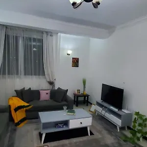 cozy-1-bedroom-luxury-apartment.hotels-addisababa.com/